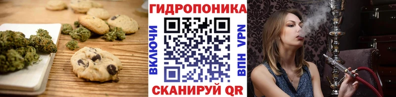 Canna-Cookies конопля сколько стоит Урус-Мартан