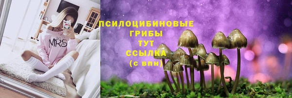 дмт Абдулино