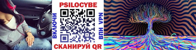 Галлюциногенные грибы прущие грибы  Урус-Мартан 